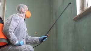 Best Mold Damage Restoration  in Malabar, FL