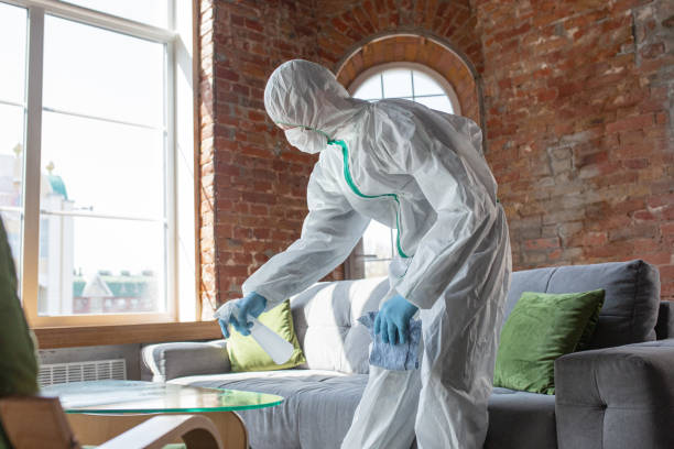 Best Environmental Consulting for Mold Prevention  in Malabar, FL