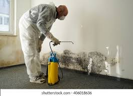 Mold Remediation for Rental Properties in Malabar, FL